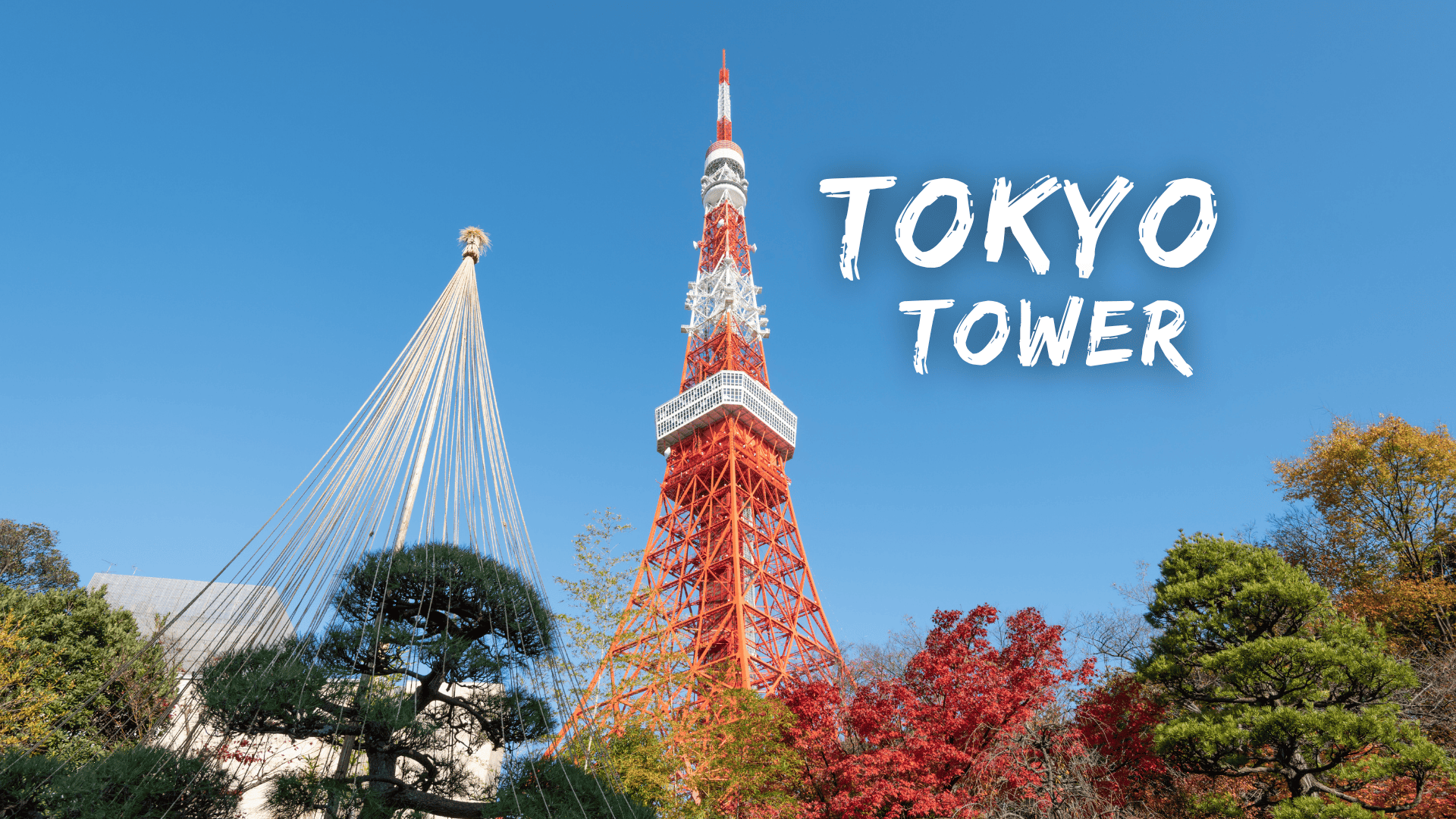 <p><strong>โตเกียวทาวเวอร์ (Tokyo Tower)</strong></p>
